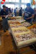 Le diverse varietà di pescato messe in vendita al mercato ittico